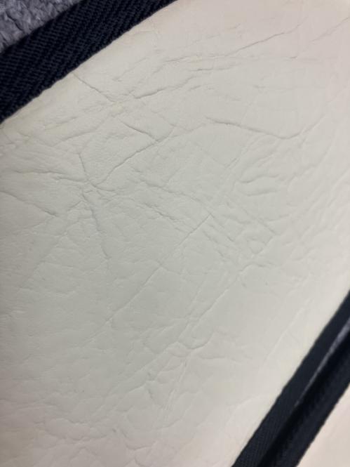 Türverkleidung für DAF XG, XG+ ab 2021, Kunstleder in beige GLATT 