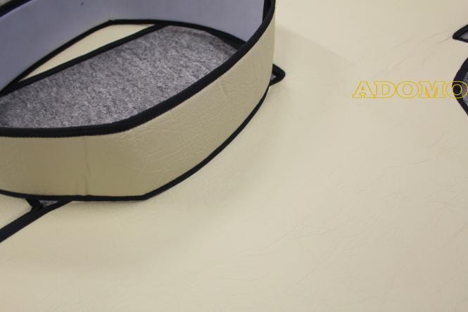 Kunstleder Fußmatten für Mercedes Actros MP5 und MP4 Solostar, beige-glatt. Umrandung schwarz 8 CM