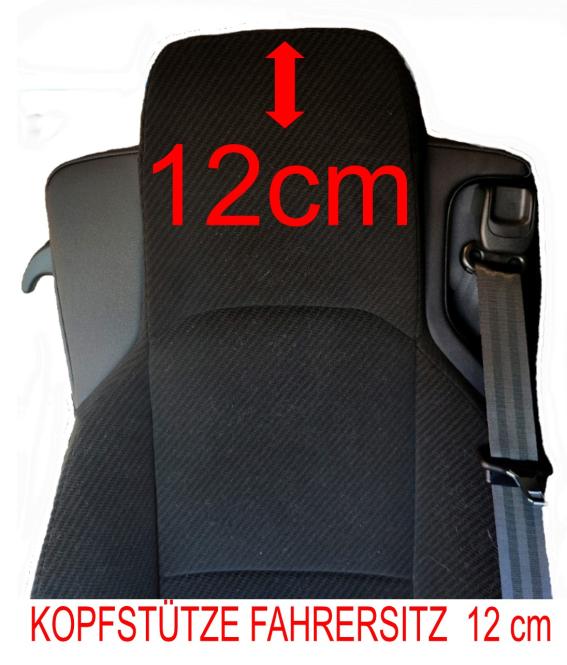 Sitzbezüge für MP5 MP4 ACTROS L ab 2024 mit Sitzecke-Solostar blau-beige Old Skool 