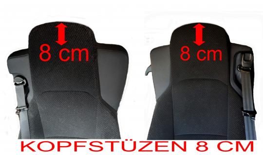 Sitzbezug NUR Fahrerseite für MP5 MP4 ACTROS L ab 2024 schwarz - braun 