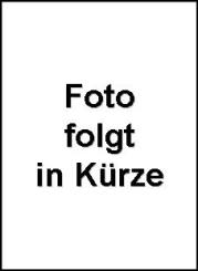 Tagesdecke, grau-schwarz für Actros Man Volvo Daf Iveco Renault Scania
